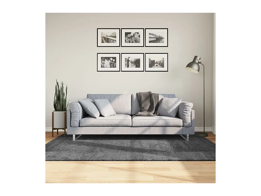 Teppich OVIEDO Kurzflor Anthrazit 140x200 cm