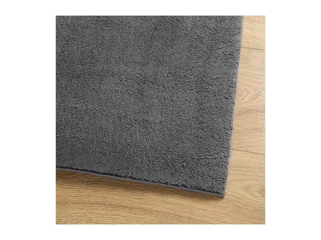 Tapis HUARTE à poils courts doux lavable anthracite 140x200 cm