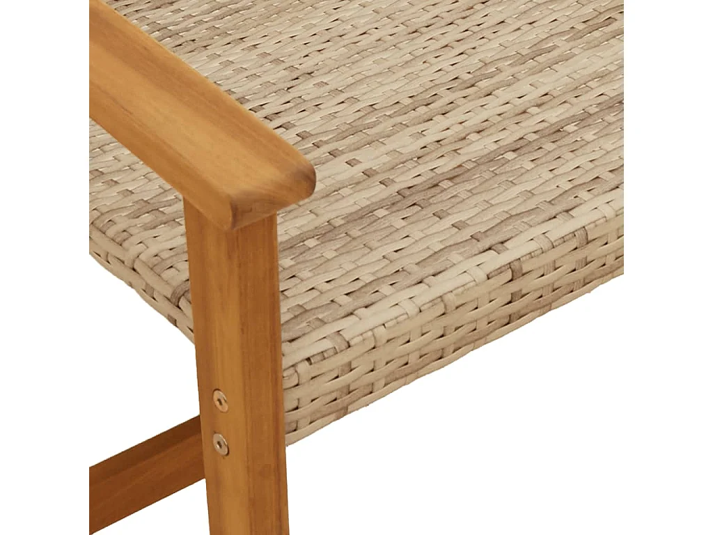 Chaises de jardin lot de 2 beige résine tressée bois d’acacia