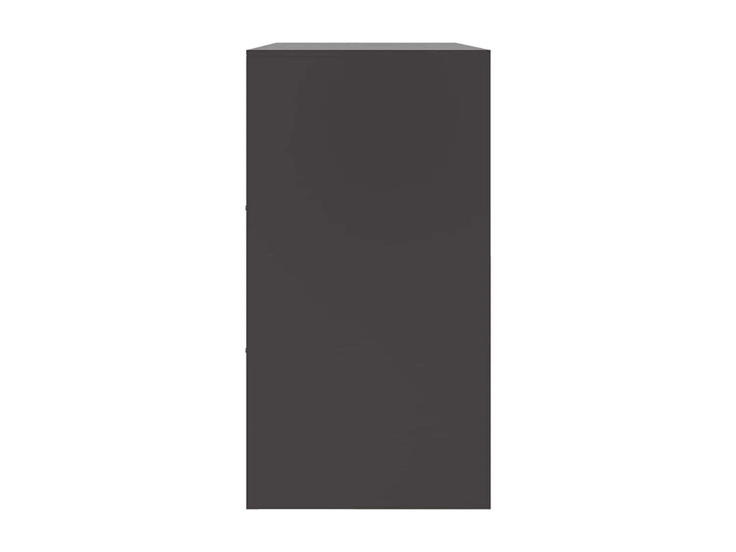 Sideboard Schwarz 99x39x73 cm Stahl