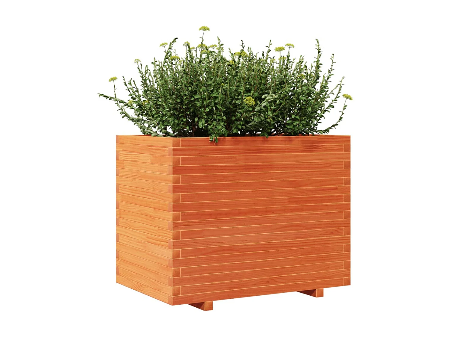 Vaso/floreira de jardim 90x60x72 cm pinho maciço castanho mel