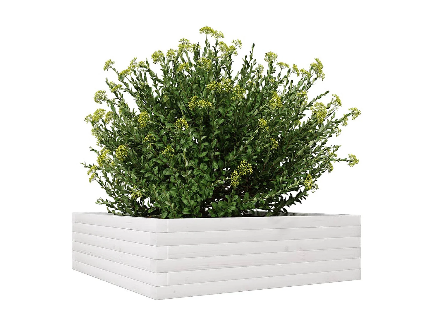 Vaso/floreira de jardim 80x80x23 cm pinho maciço branco