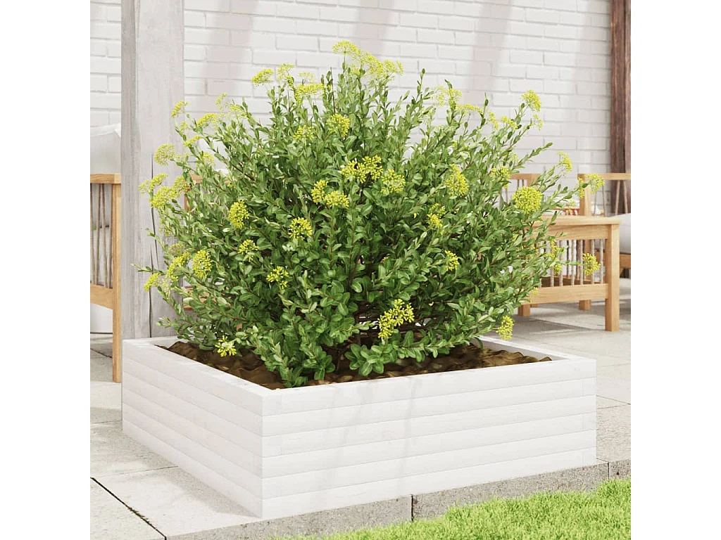 Jardinière blanc 80x80x23 cm bois de pin massif