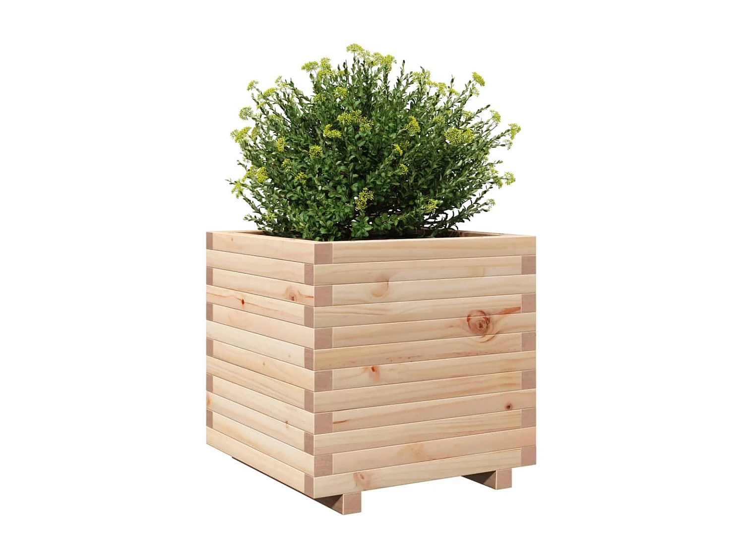 Vaso/floreira de jardim 50x50x49,5 cm madeira de pinho maciça