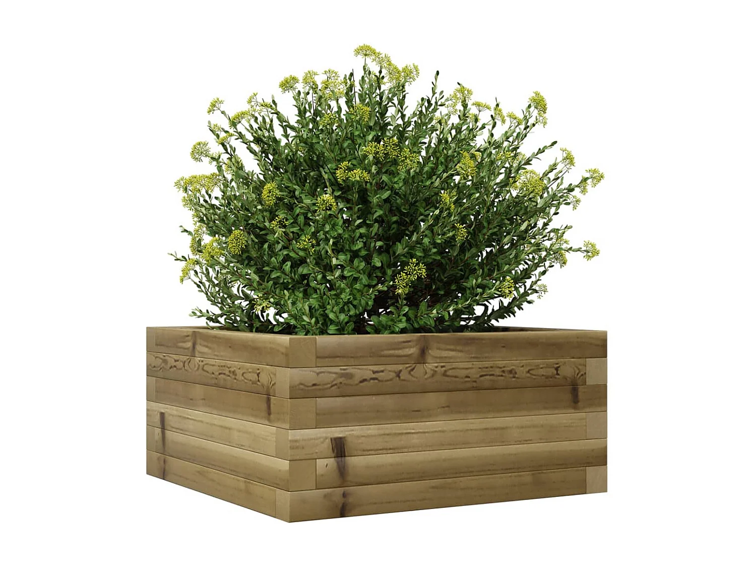 Jardinière 50x50x23 cm bois de pin imprégné