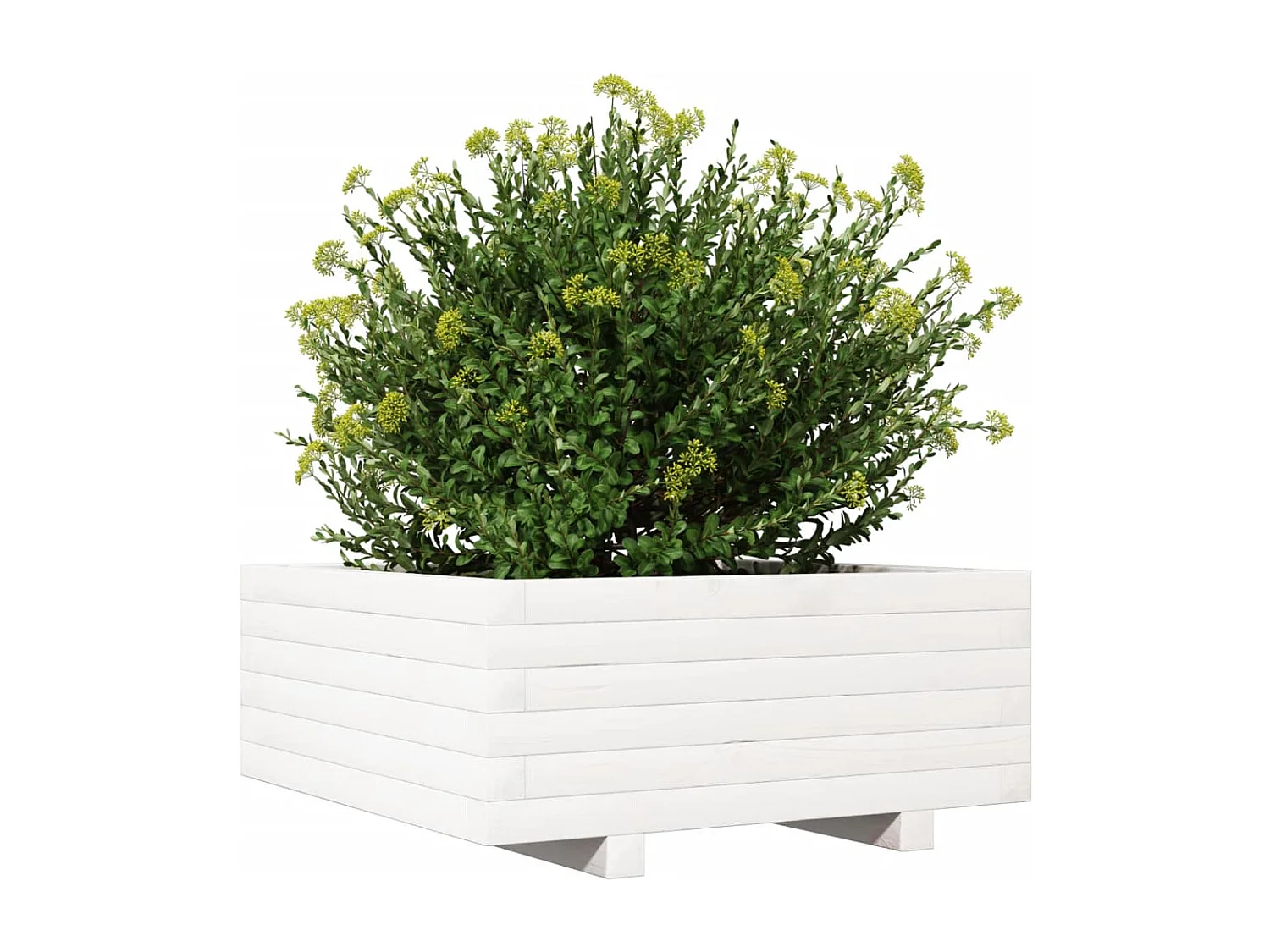 Jardinière blanc 60x60x26,5 cm bois de pin massif