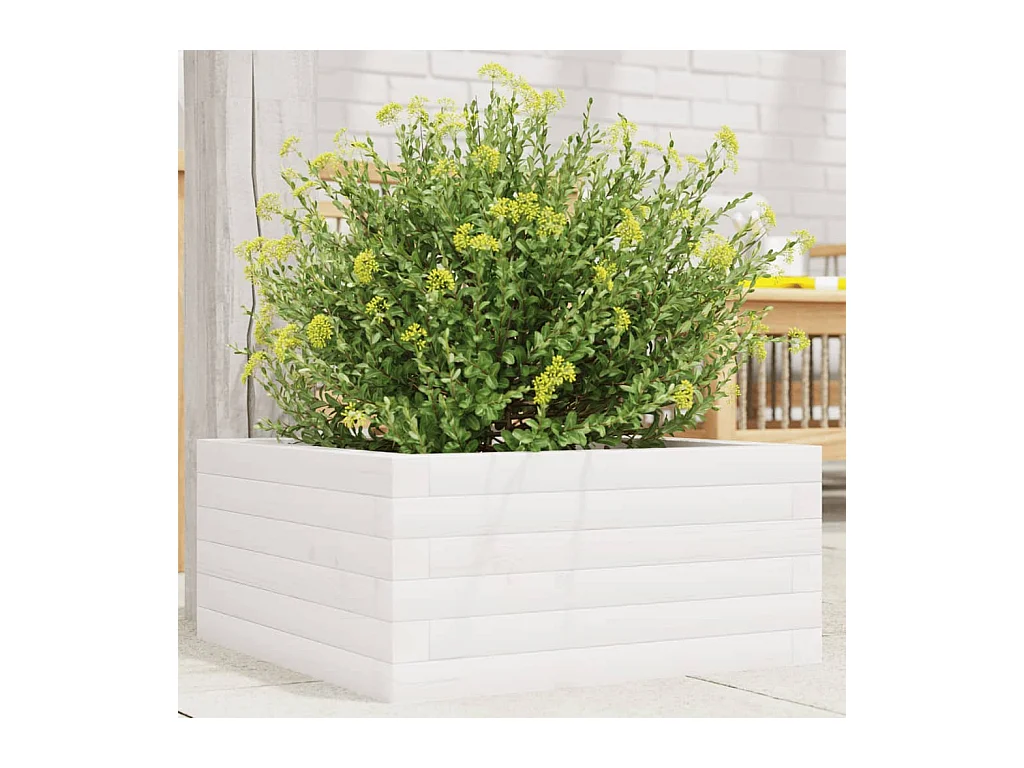 Fioriera da Giardino Bianca 50x50x23 cm Legno Massello di Pino