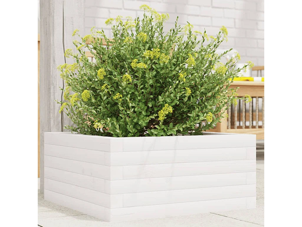 Fioriera da Giardino Bianca 50x50x23 cm Legno Massello di Pino
