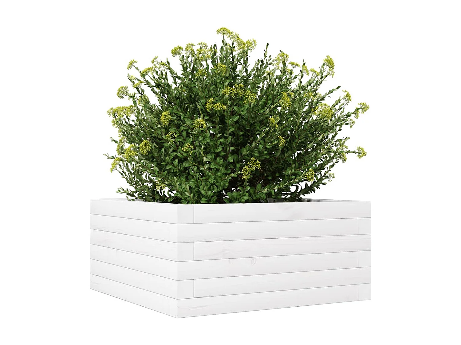 Fioriera da Giardino Bianca 50x50x23 cm Legno Massello di Pino