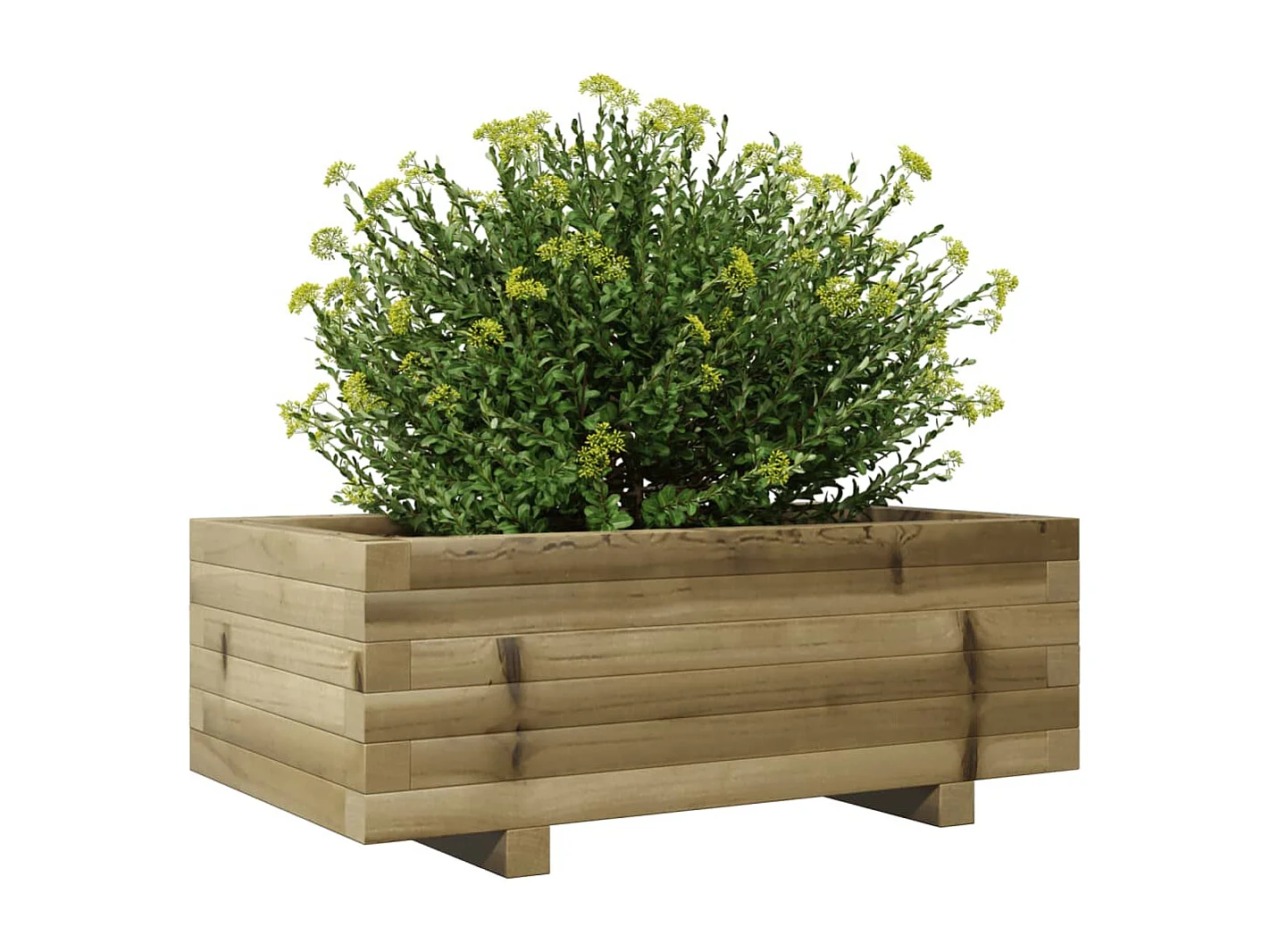 Jardinière 70x40x26,5 cm bois de pin imprégné