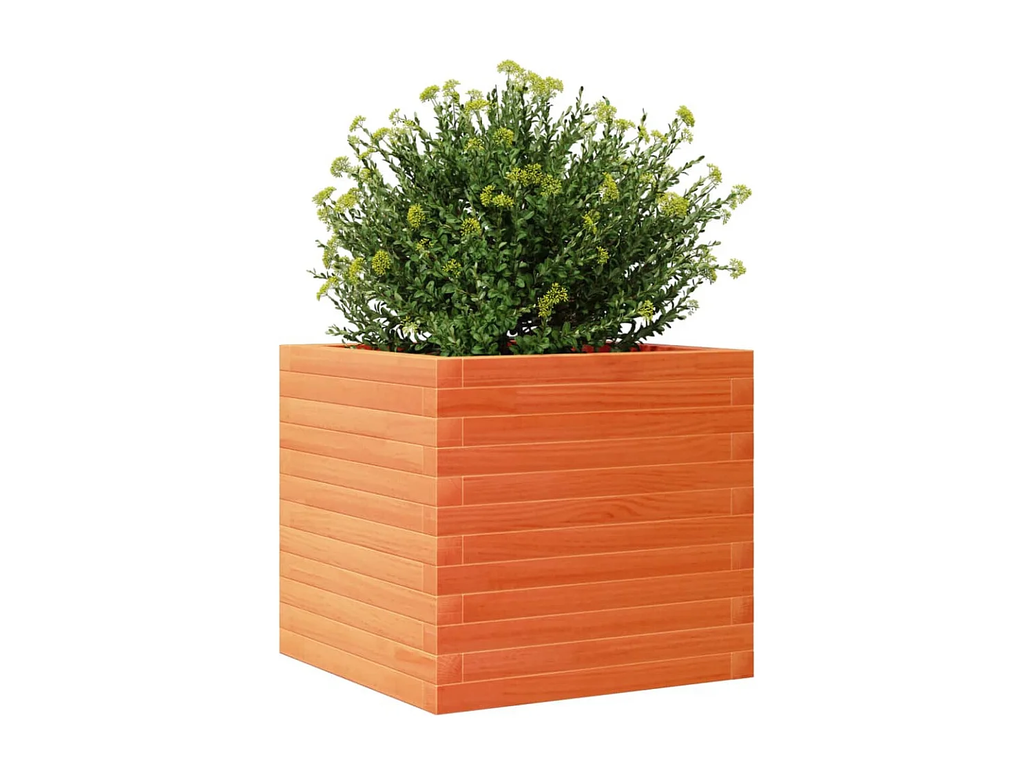 Fioriera Giardino Marrone Cera 50x50x45,5cm Legno Massello Pino