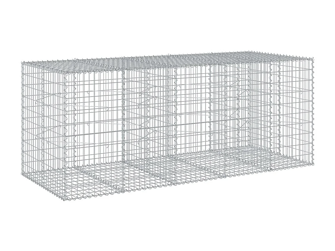 Panier gabion avec couvercle 250x100x100 cm fer galvanisé