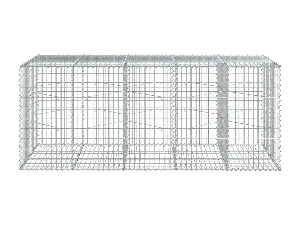 Panier gabion avec couvercle 250x100x100 cm fer galvanisé