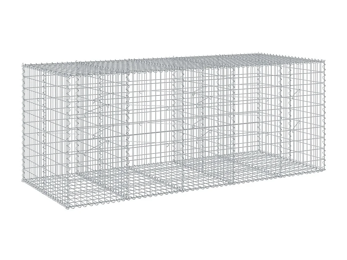 Panier gabion avec couvercle 250x100x100 cm fer galvanisé
