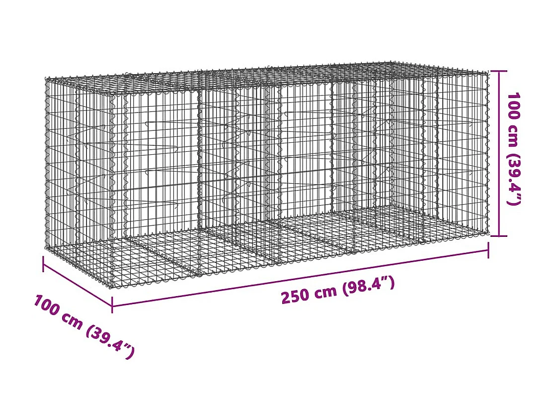 Panier gabion avec couvercle 250x100x100 cm fer galvanisé