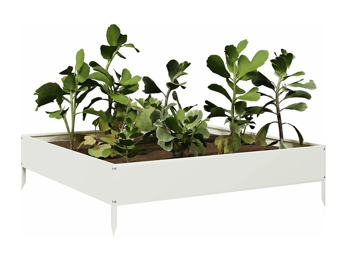 Lit surélevé de jardin blanc 100x100x26 cm acier