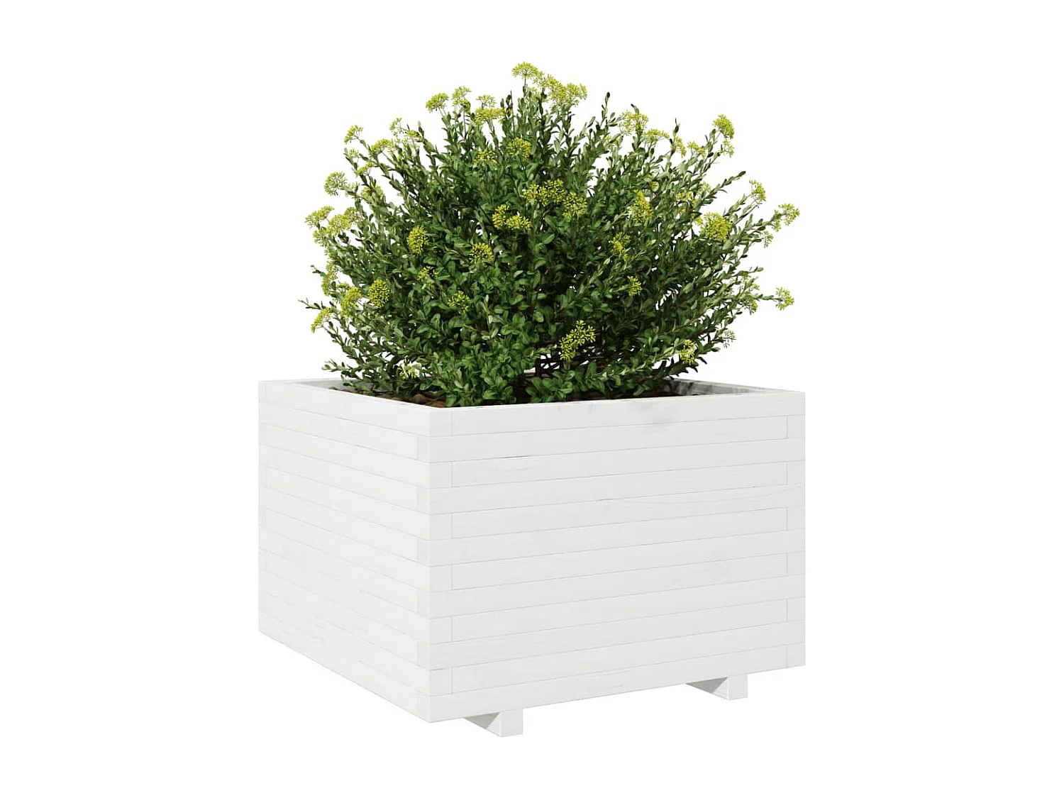 Jardinière blanc 70x70x49,5 cm bois de pin massif