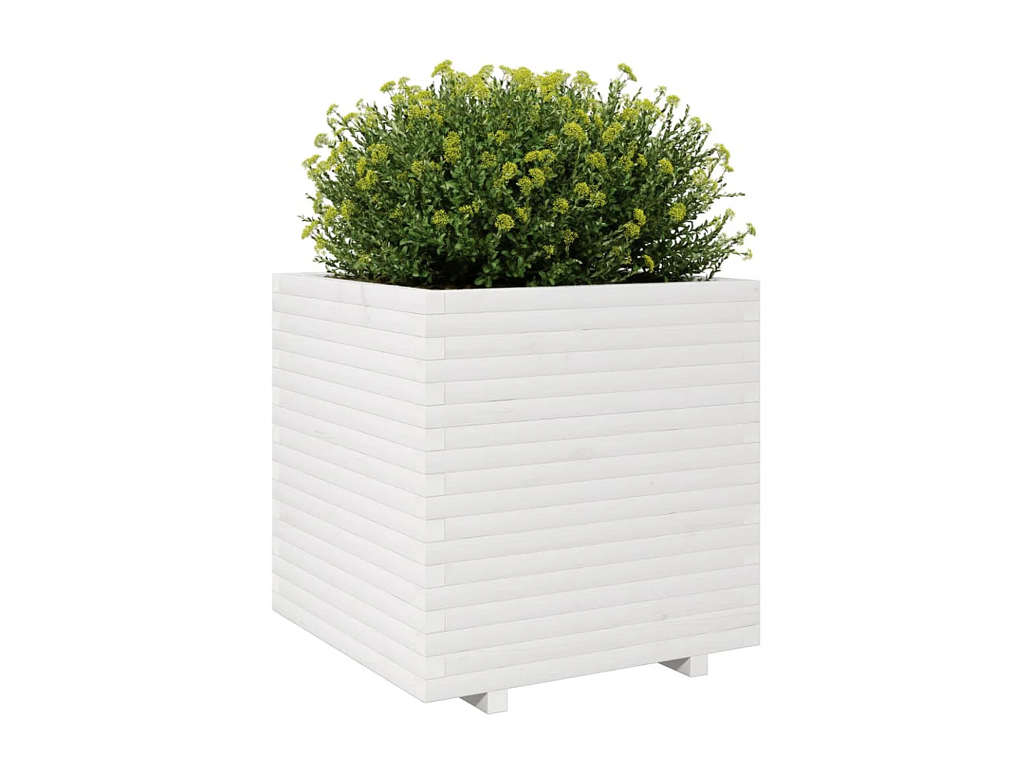 Jardinière blanc 70x70x72,5 cm bois de pin massif