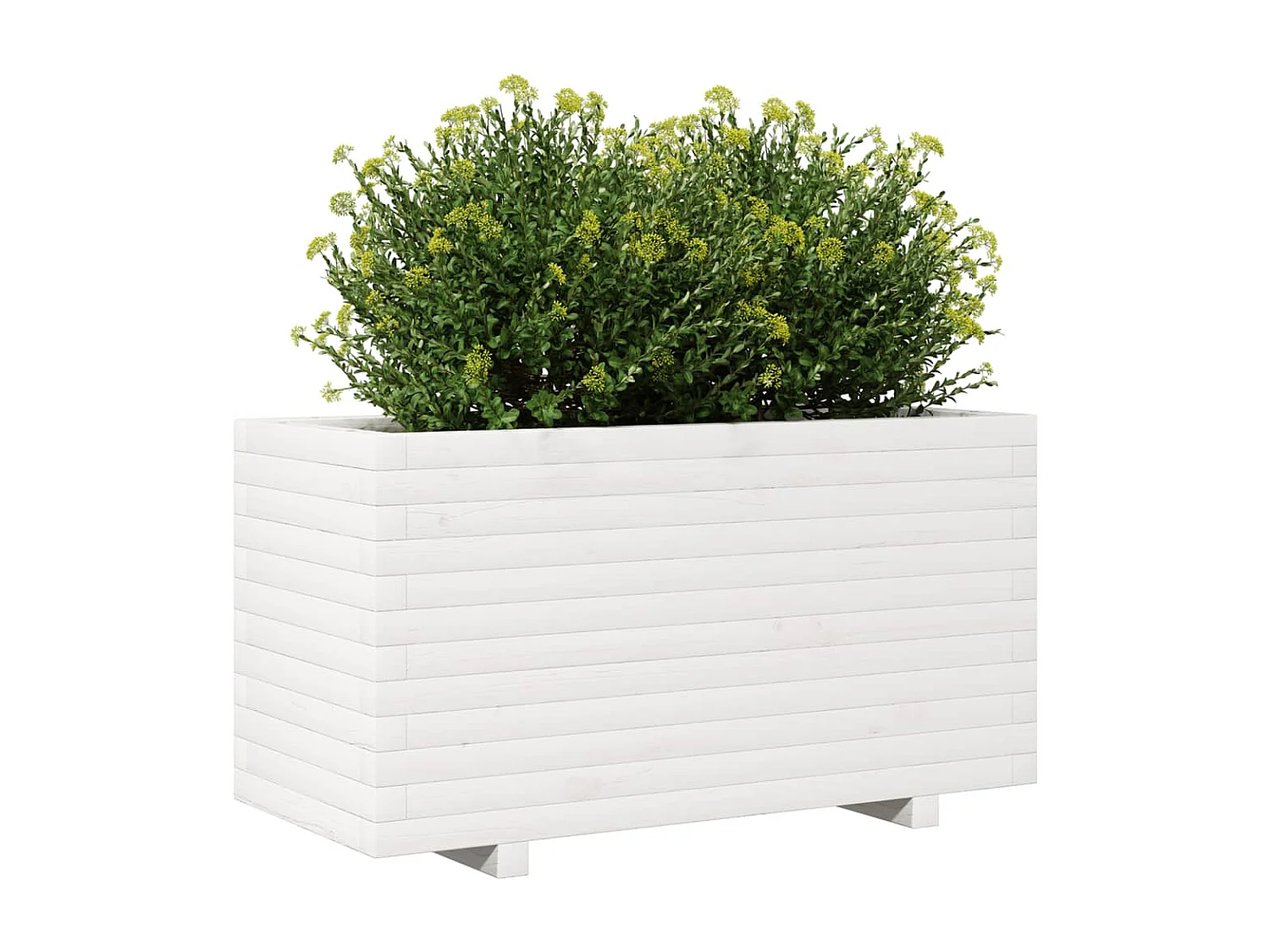 Jardinière blanc 90x40x49,5 cm bois de pin massif