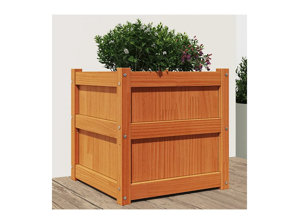 Fioriera Giardino Marrone Cera 50x50x50 cm Legno Massello Pino