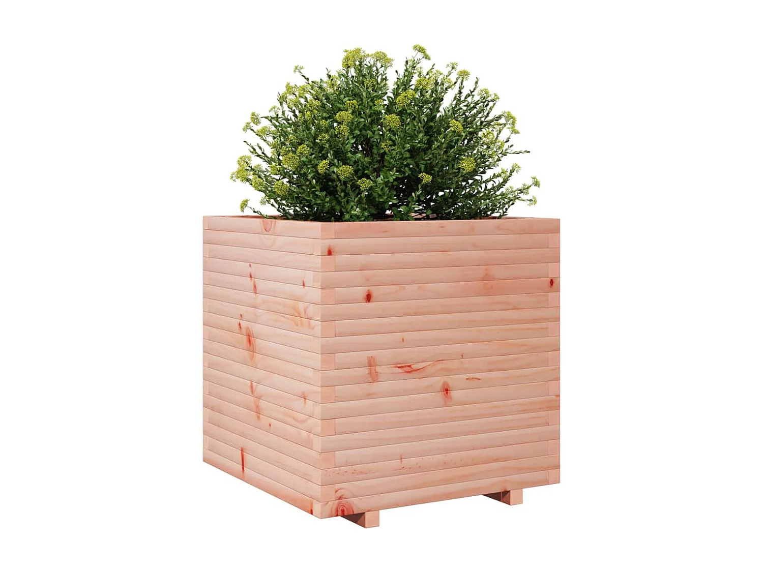 Pflanzkübel 70x70x72 cm Massivholz Douglasie