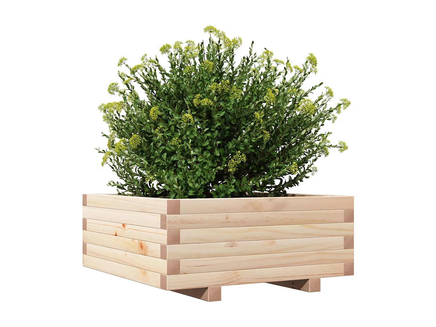 Fioriera da Giardino 60x60x26,5 cm in Legno Massello di Pino