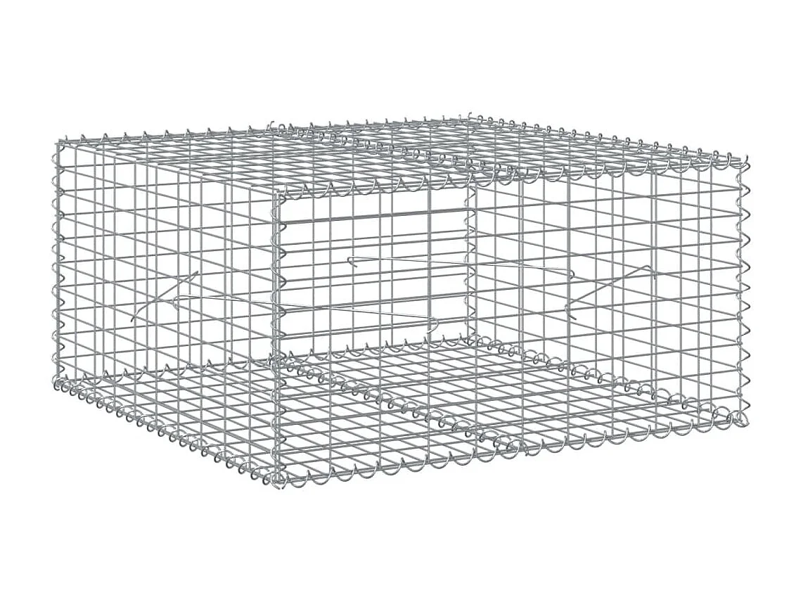 Cesto Gabbione con Copertura 100x100x50 cm Ferro Zincato