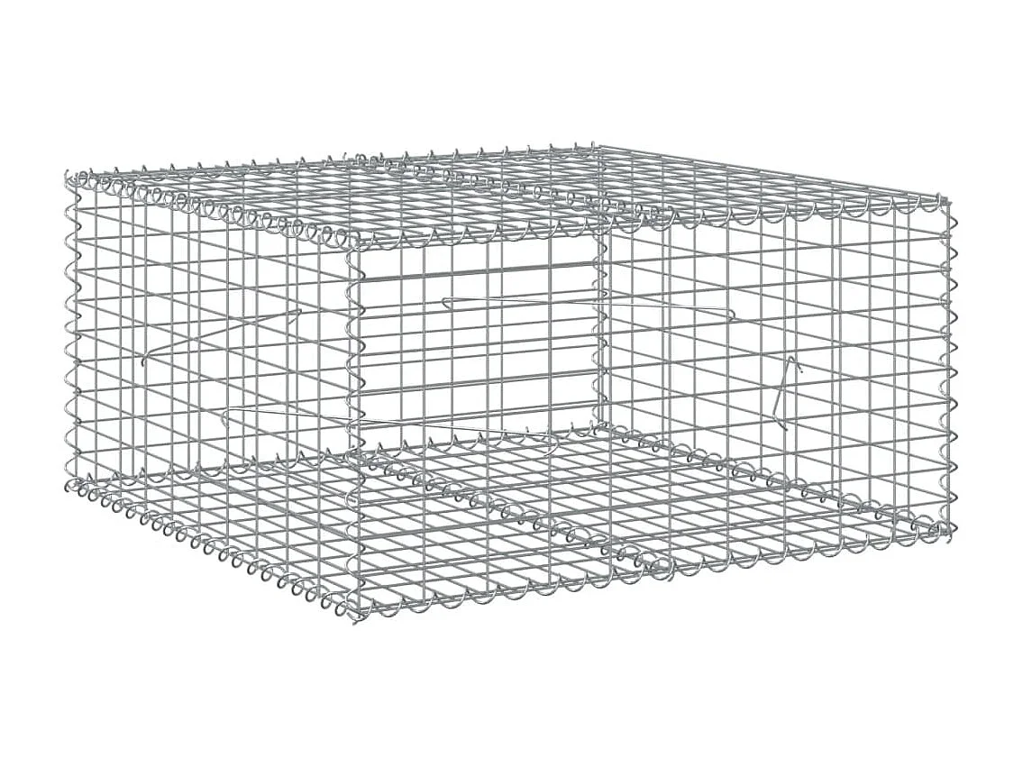 Cesto Gabbione con Copertura 100x100x50 cm Ferro Zincato