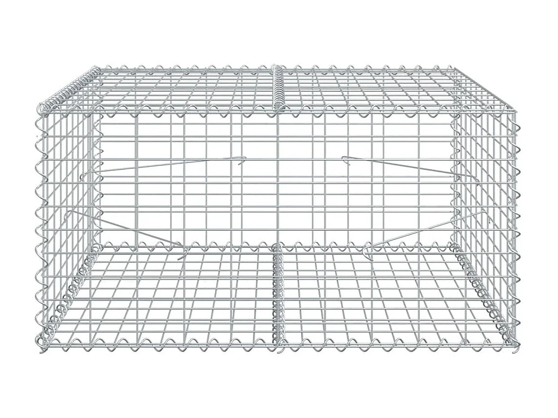 Gabione mit Deckel 100x100x50 cm Verzinktes Eisen