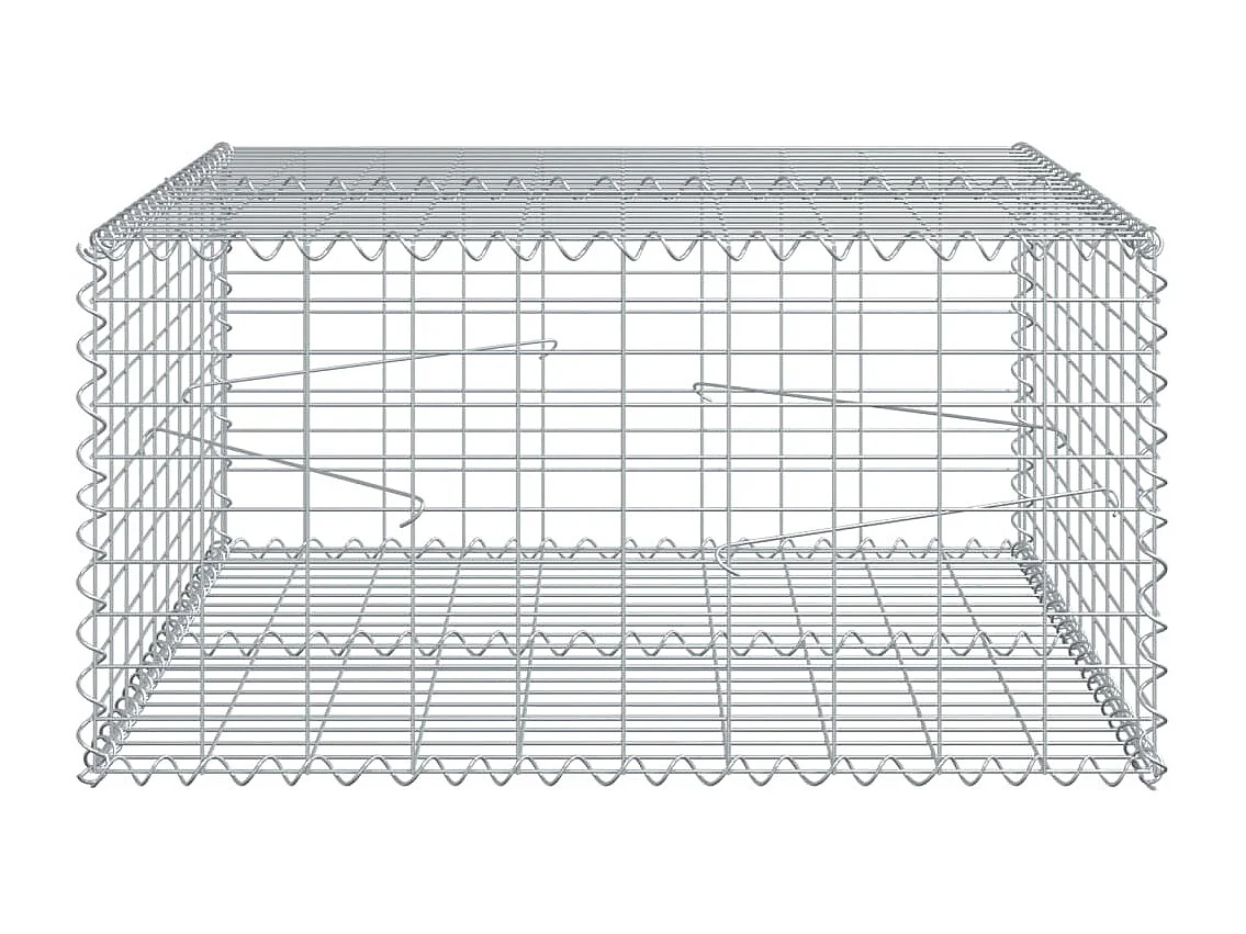 Gabione mit Deckel 100x100x50 cm Verzinktes Eisen