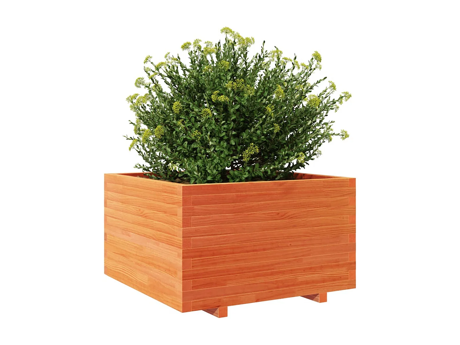 Vaso/floreira de jardim 80x80x49,5 cm pinho maciço castanho mel