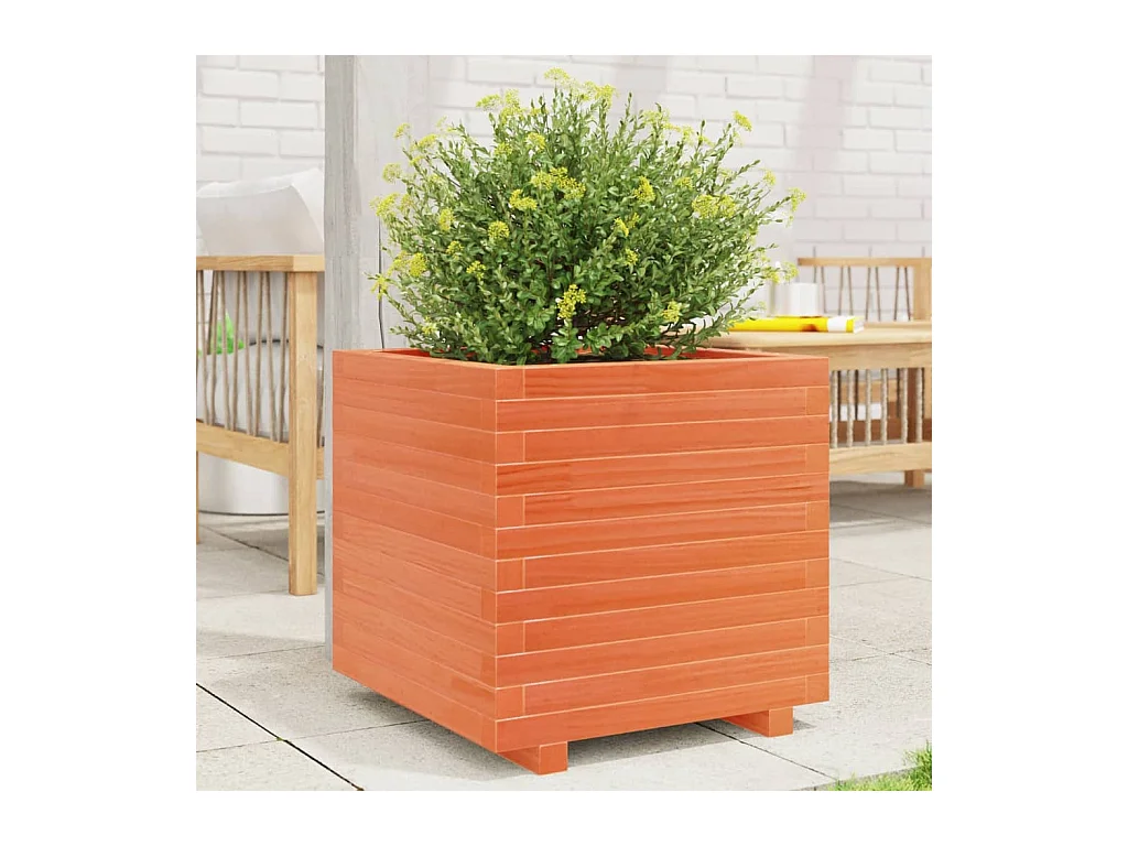 Fioriera Giardino Marrone Cera 50x50x49,5cm Legno Massello Pino