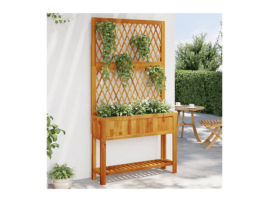 Jardinière avec treillis et étagère bois massif d'acacia