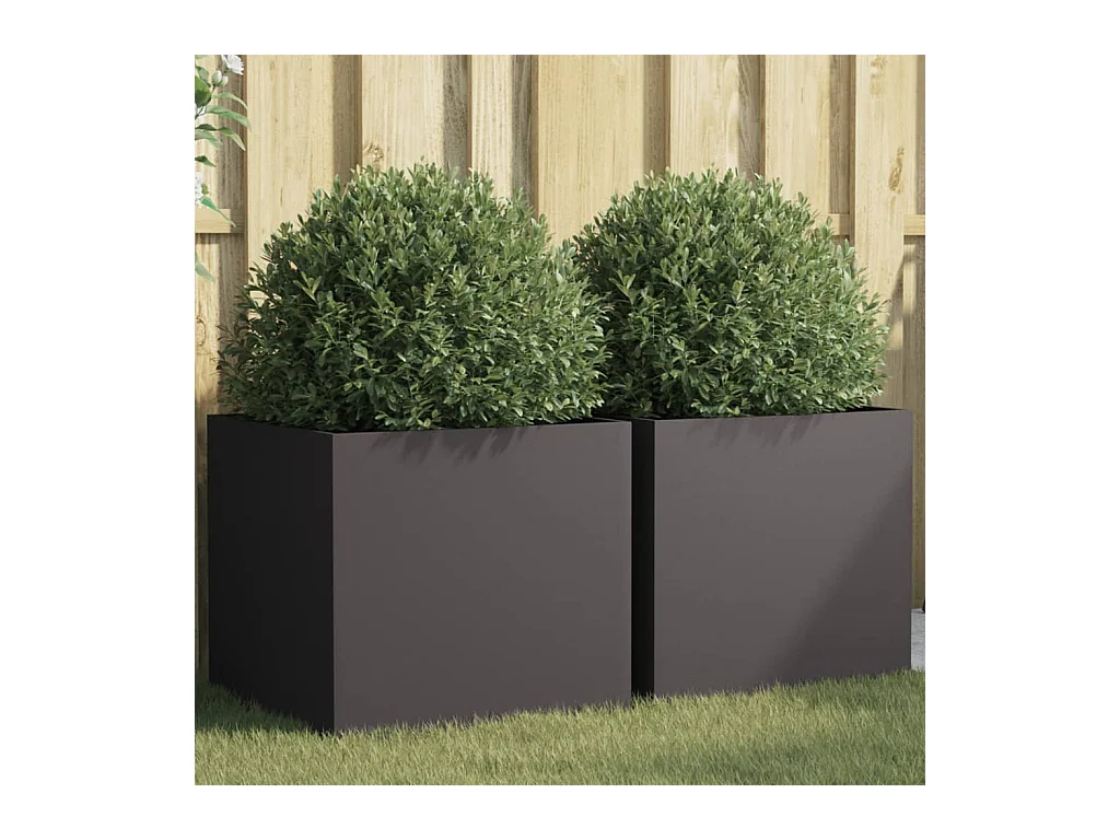 Plantenbakken 2 st 49x47x46 cm staal zwart