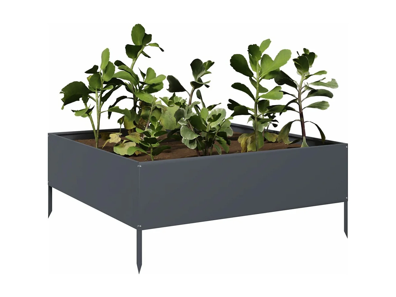 Hochbeet Anthrazit 100x100x25 cm Stahl