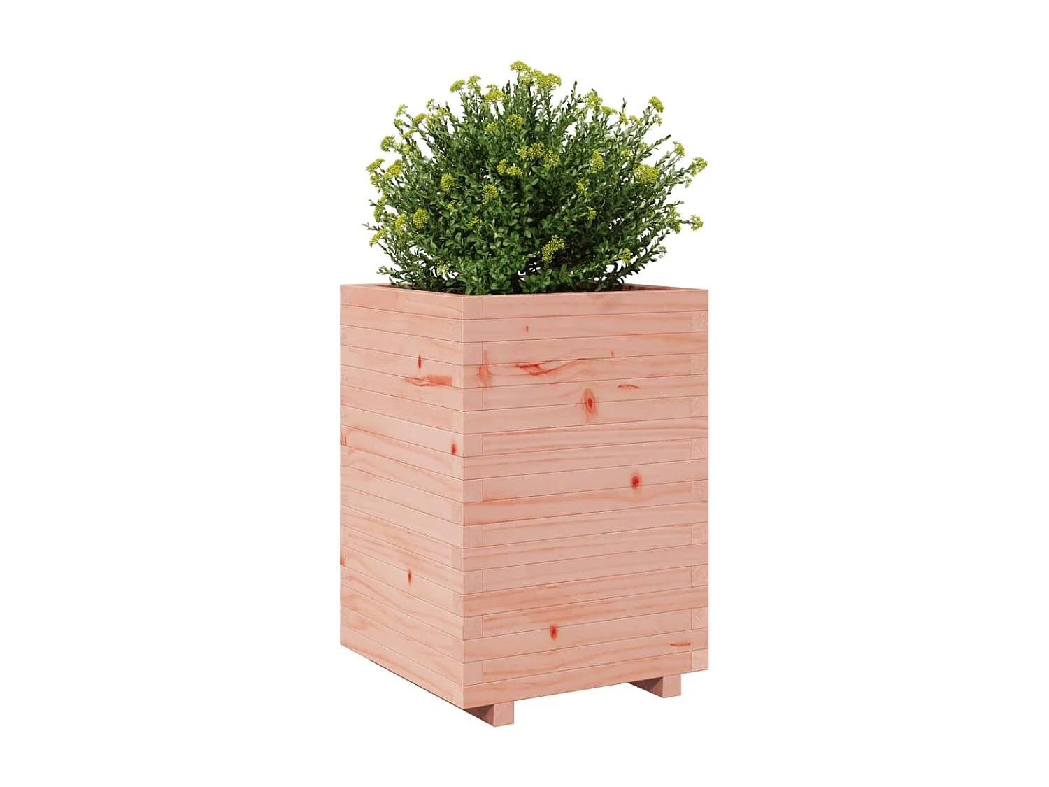 Fioriera da Giardino 50x50x72,5 cm in Legno Massello di Douglas