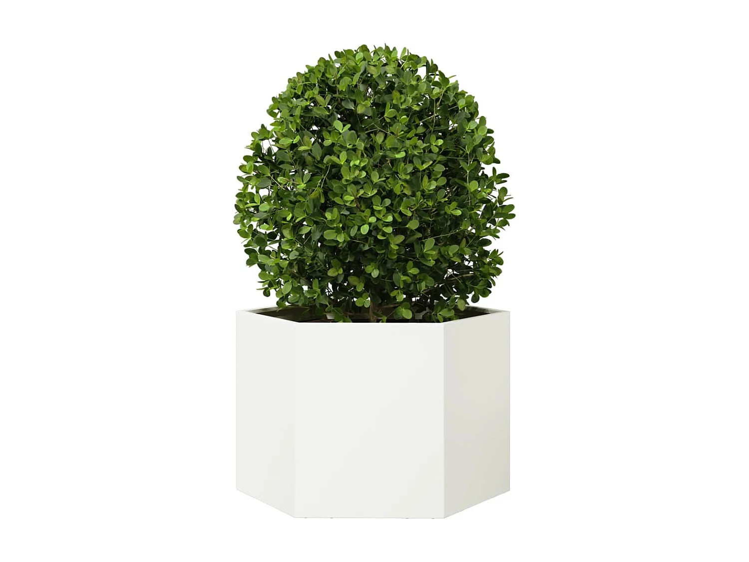 Fioriera da Giardino Bianca Esagono 69x60x45 cm in Acciaio