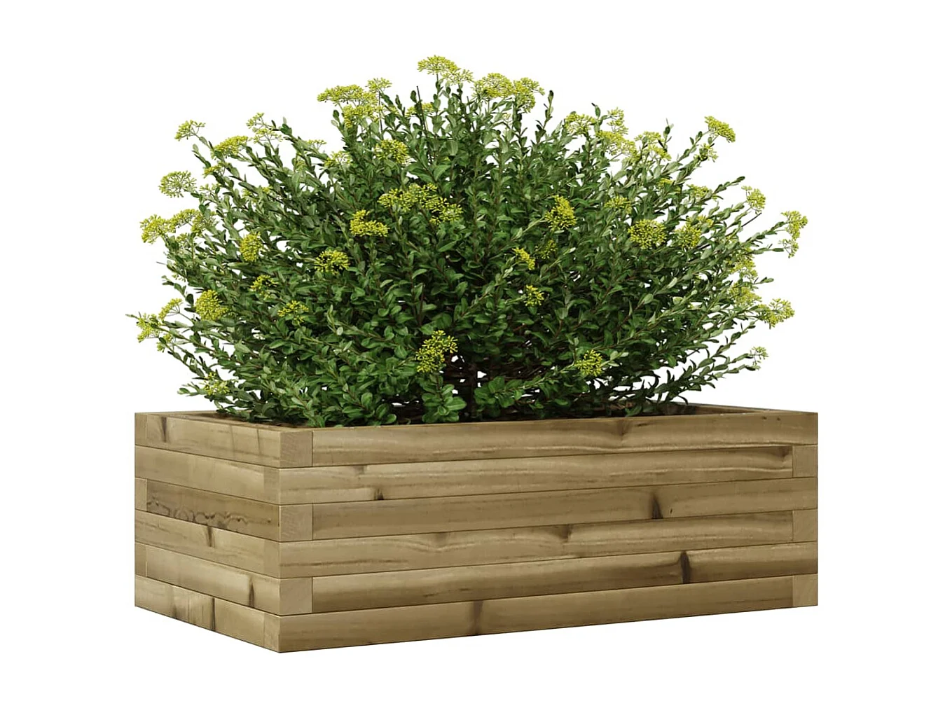 Jardinière 70x40x23 cm bois de pin imprégné