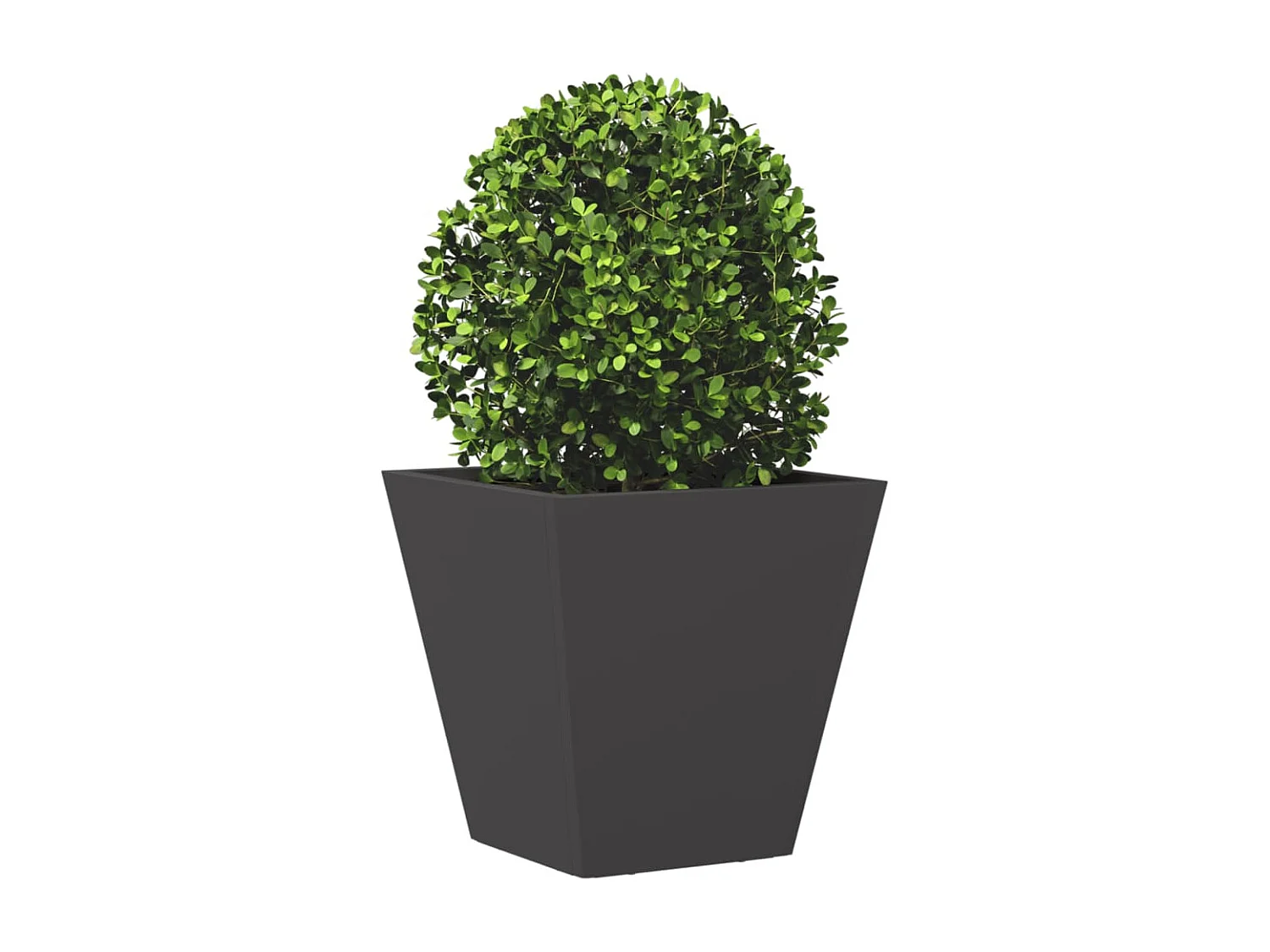 Jardinières 2 pcs noir 30x30x30 cm acier