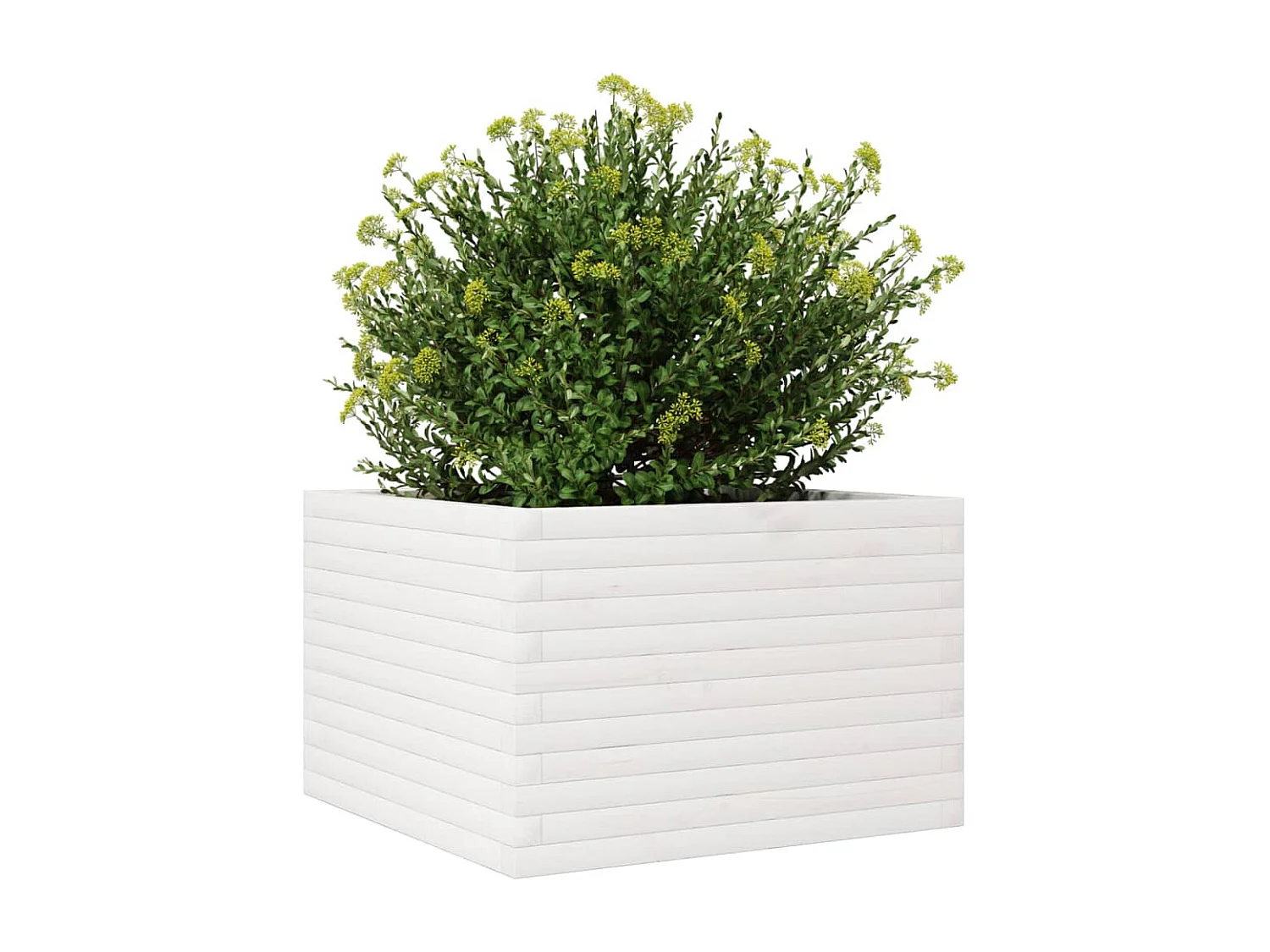 Jardinière blanc 70x70x45,5 cm bois de pin massif