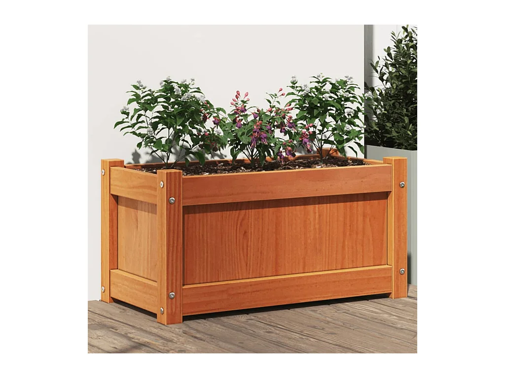 Jardinière cire marron 60x31x31 cm bois de pin massif