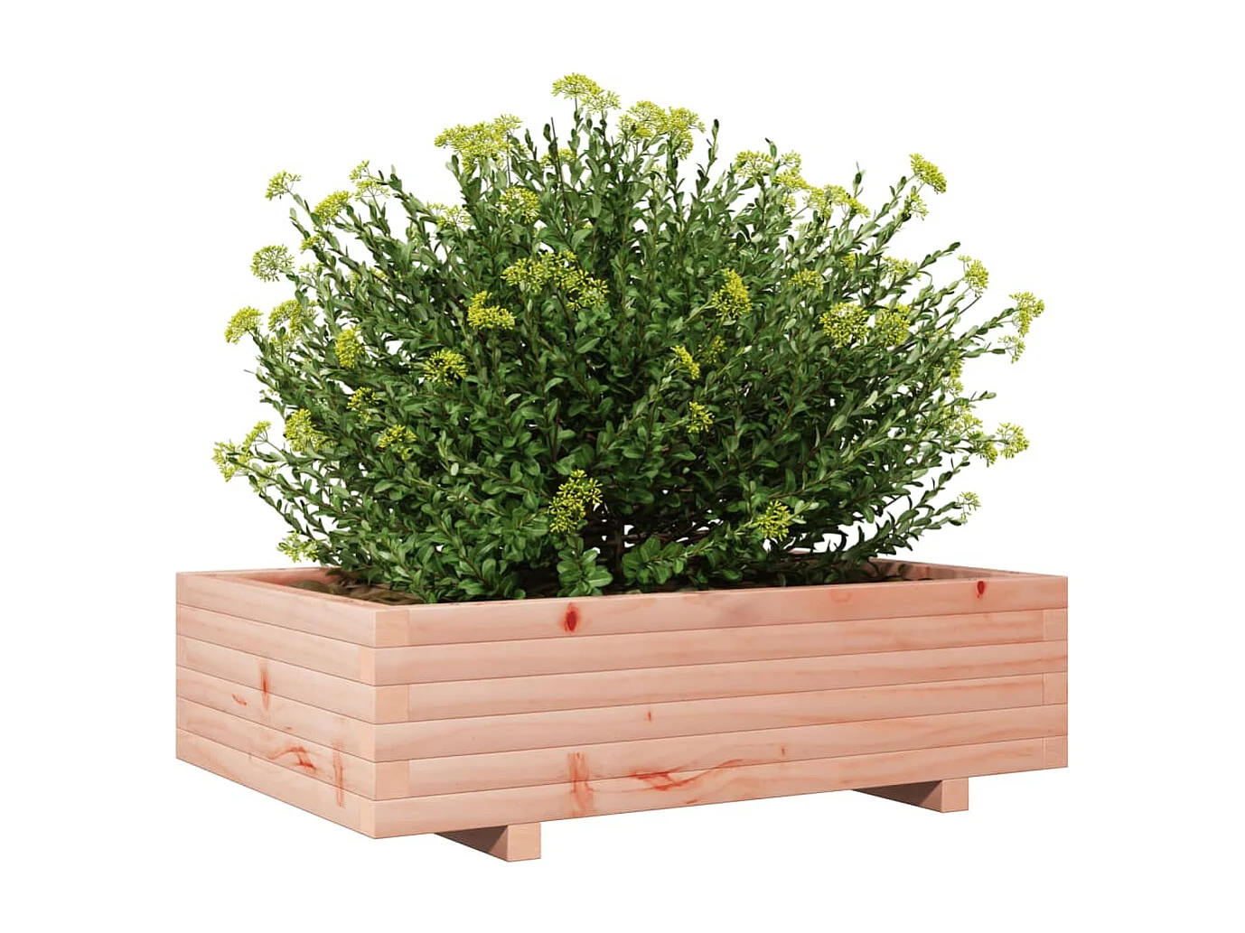 Jardinière 90x60x26,5 cm bois massif de douglas