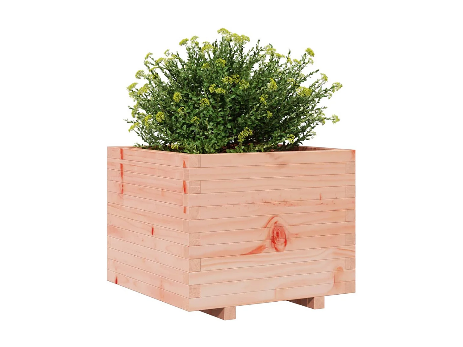 Pflanzkübel 60x60x49,5 cm Massivholz Douglasie