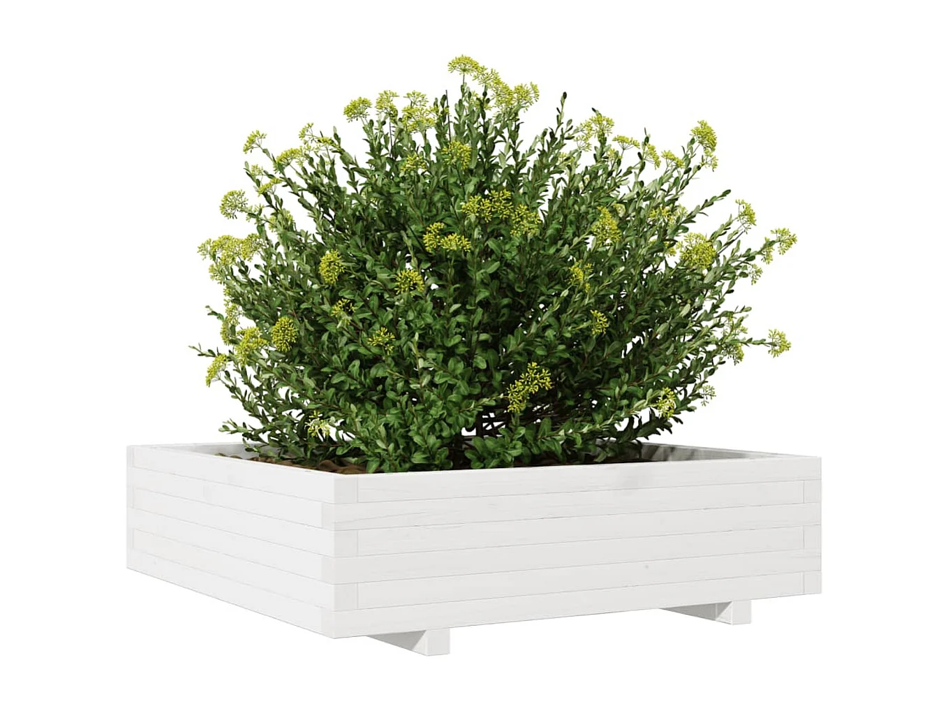 Jardinière blanc 90x90x26,5 cm bois de pin massif