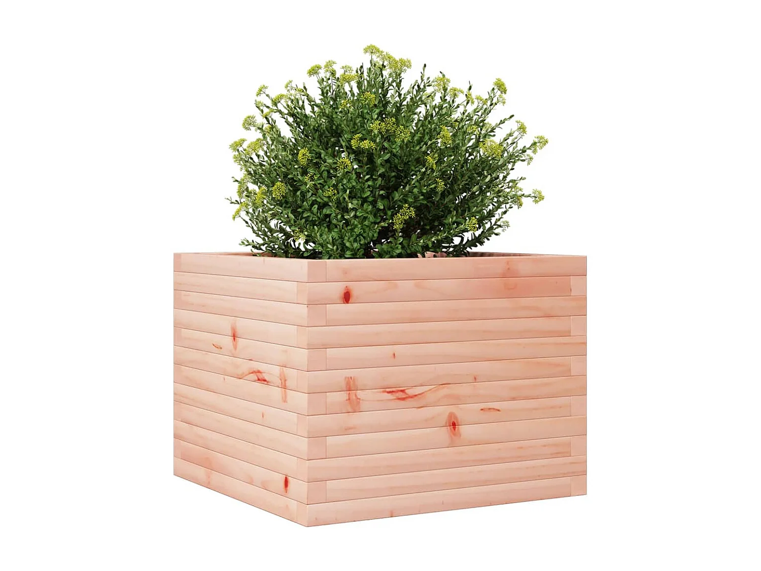 Fioriera da Giardino 60x60x46 cm in Legno Massello Di Douglas
