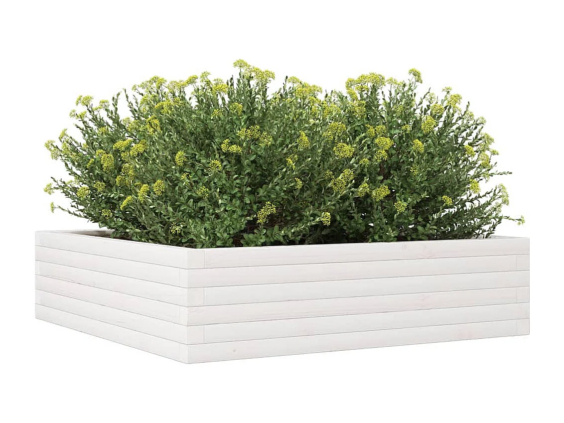 Jardinière blanc 90x90x23 cm bois de pin massif