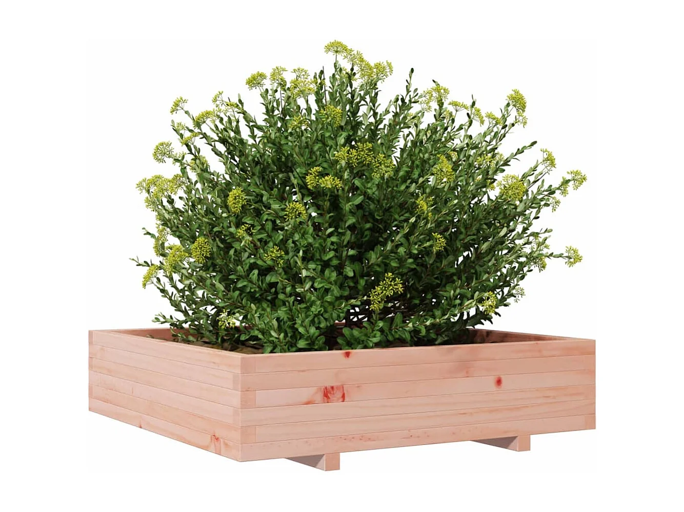 Pflanzkübel 100x100x26,5 cm Massivholz Douglasie