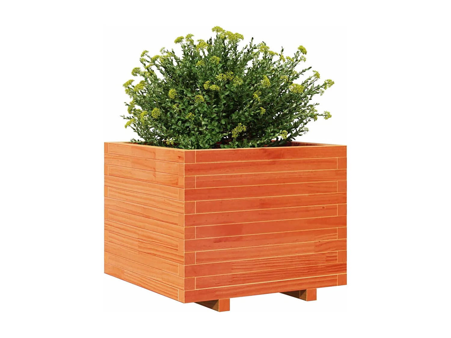 Jardinière cire marron 60x60x49,5 cm bois de pin massif