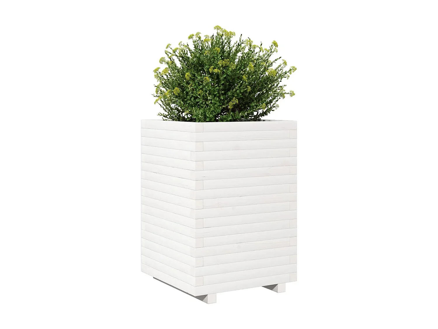 Vaso/floreira de jardim 50x50x72 cm pinho maciço branco