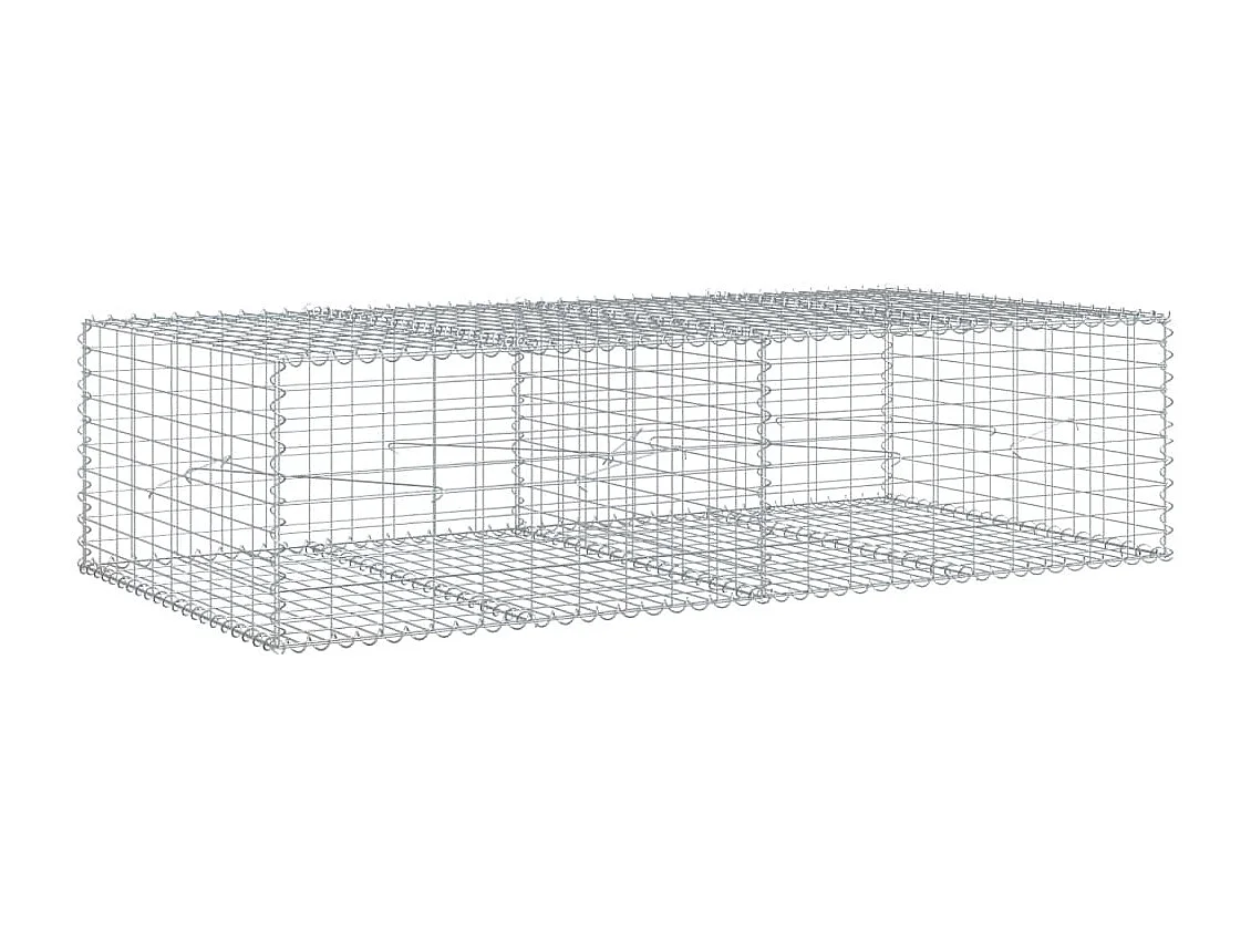 Gabione mit Deckel 200x100x50 cm Verzinktes Eisen